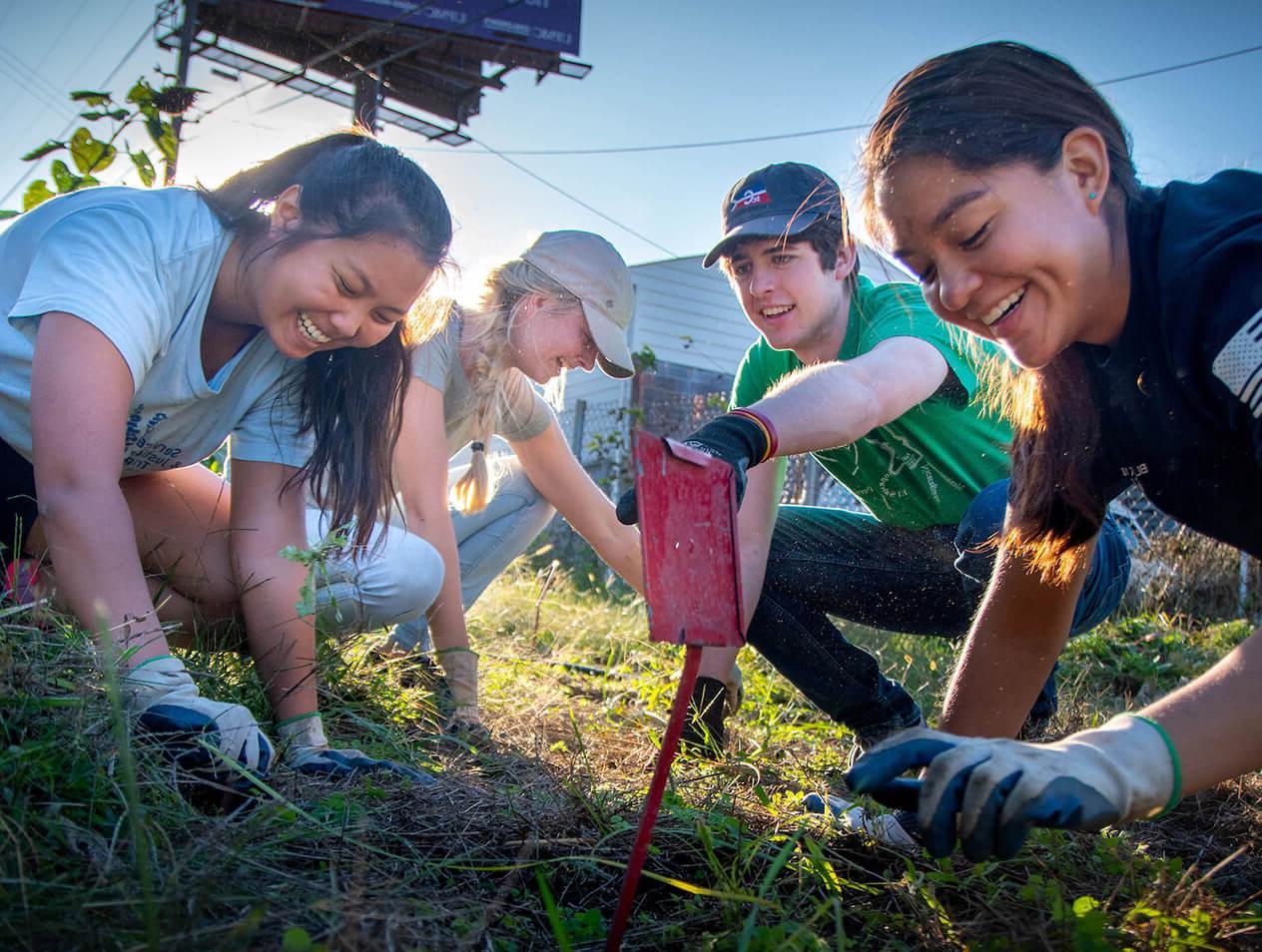 A group of Creighton students pulling weeds during a service trip