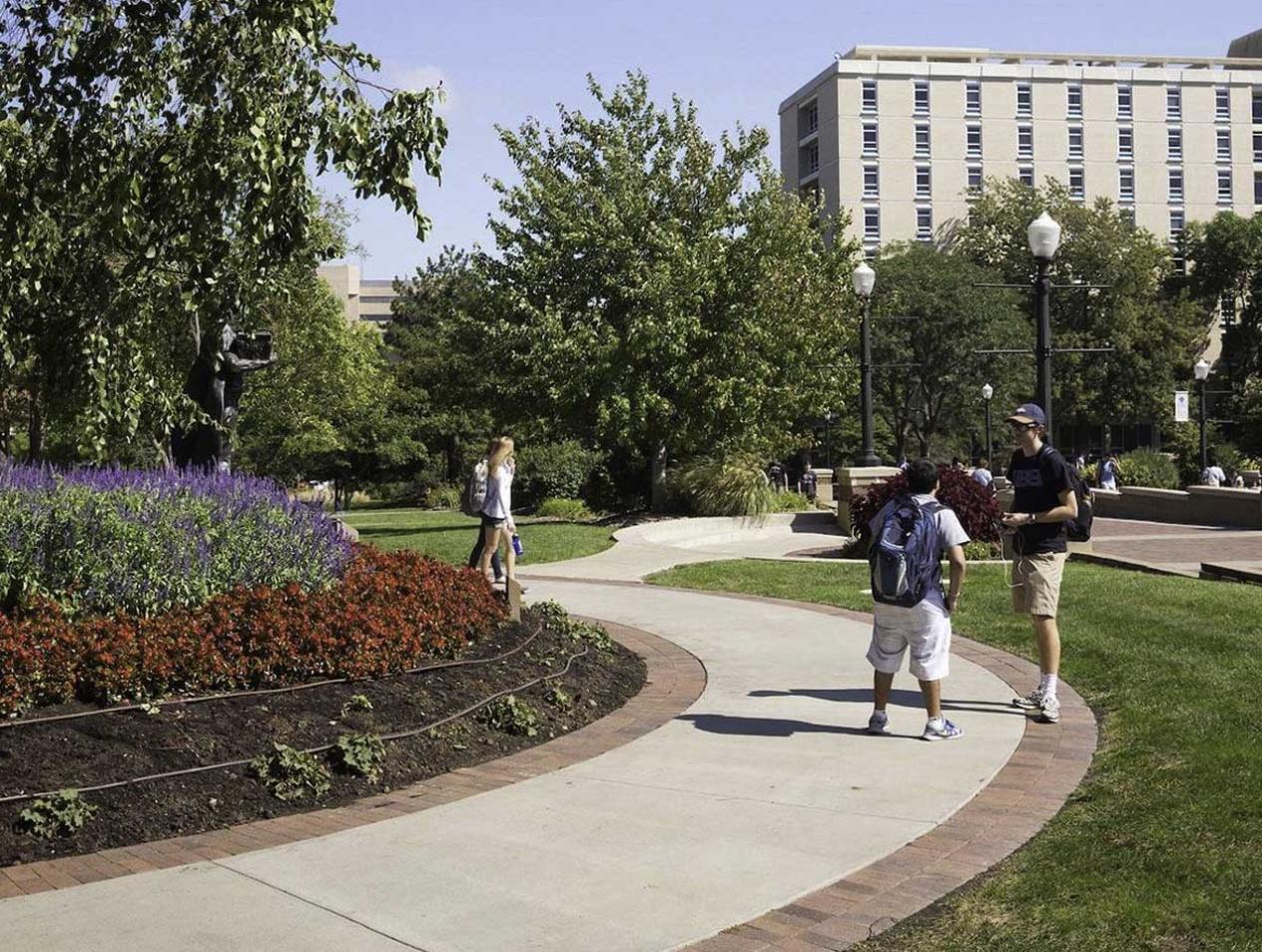 Campus flower beds blooming